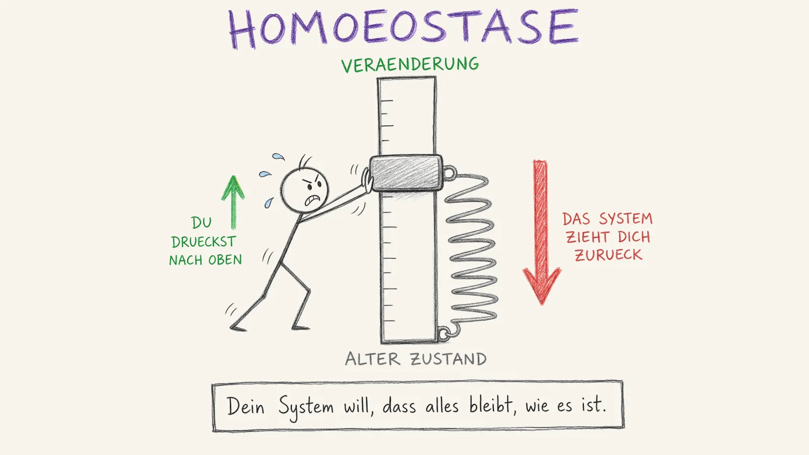 Handgezeichnetes Schaubild zur Homöostase: ein Strichmännchen schiebt einen Regler mühsam nach oben Richtung Veränderung, während eine Feder ihn zurück in den alten Zustand zieht, Bildunterschrift: Dein System will, dass alles bleibt, wie es ist