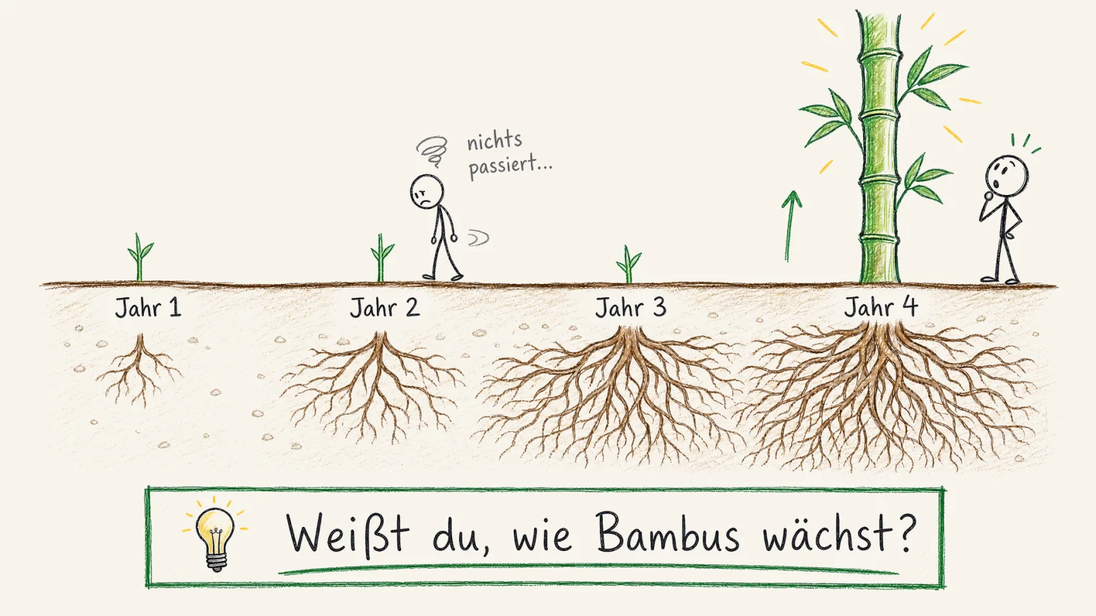 Das Bambus-Gleichnis über eine Zeitachse: In den ersten Jahren wächst unter der Erde ein immer größeres Wurzelwerk, während oberirdisch fast nichts zu sehen ist, dann schießt der Bambus in wenigen Wochen meterhoch in die Höhe