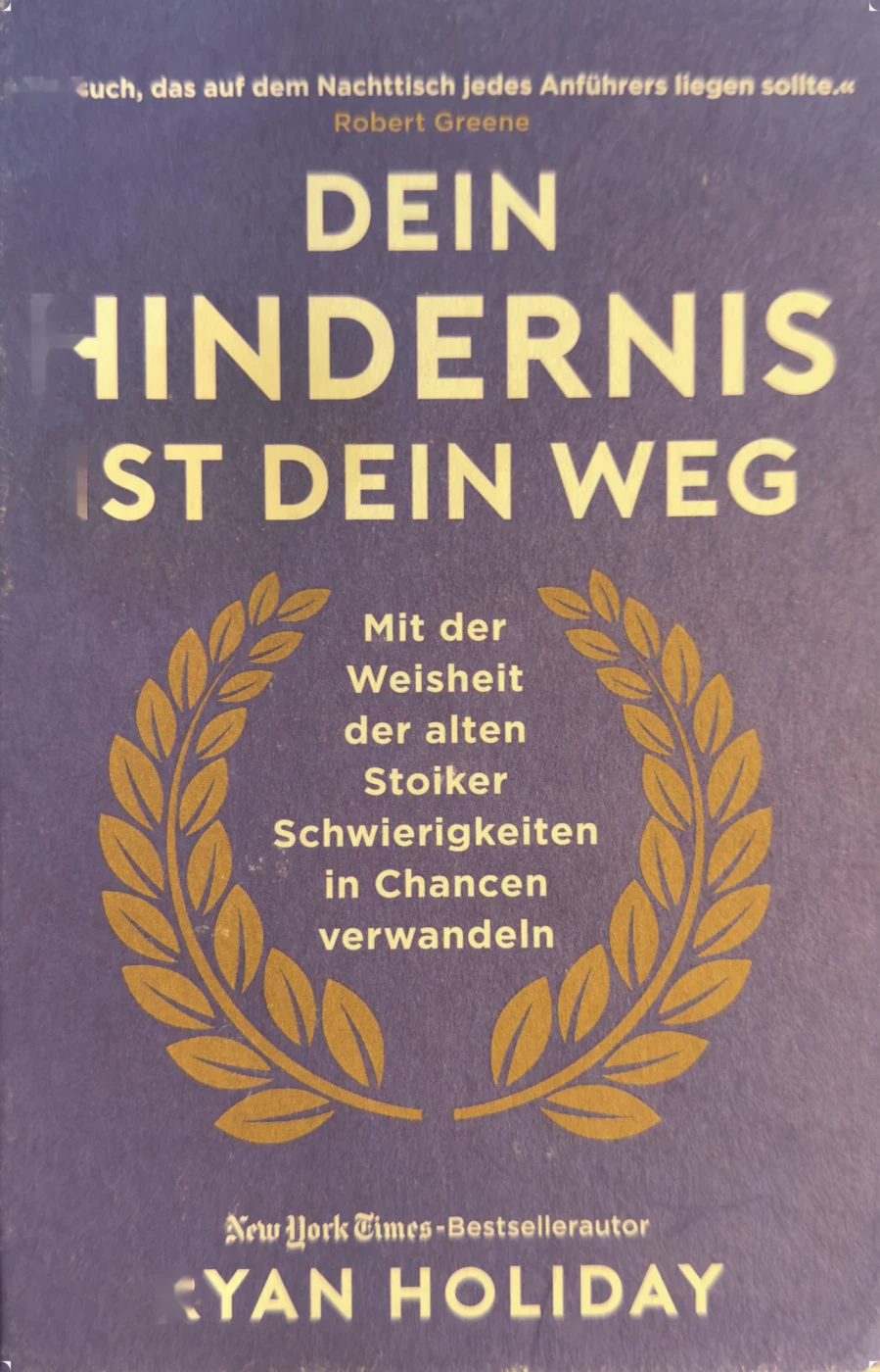 Dein Hindernis ist dein Weg